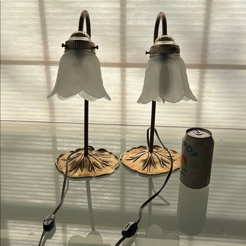 💡Pair of Vintage MCM Leviton Lily Pad Brass Gooseneck Frosted Lamps UL E-69571